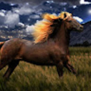 Meet your Posher, Valorie